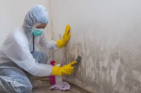 Best Real Estate Mold Inspection  in Anna, TX